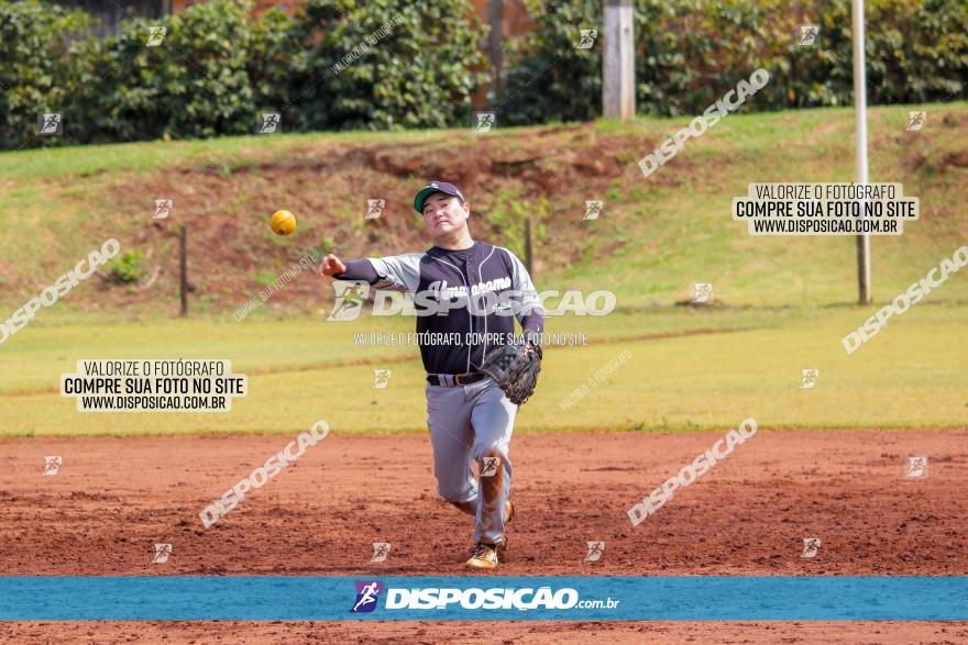 XXXII Brasileirão de Softbol