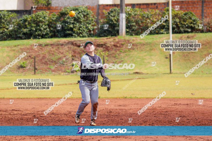 XXXII Brasileirão de Softbol