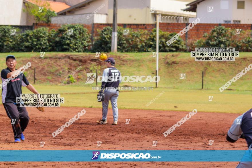 XXXII Brasileirão de Softbol