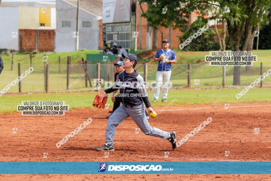 XXXII Brasileirão de Softbol