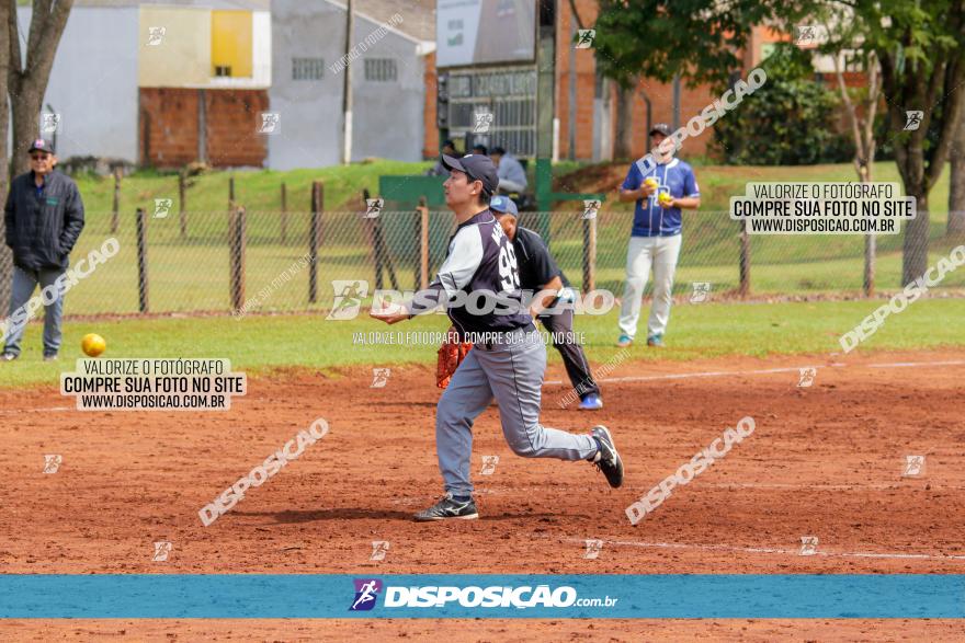 XXXII Brasileirão de Softbol