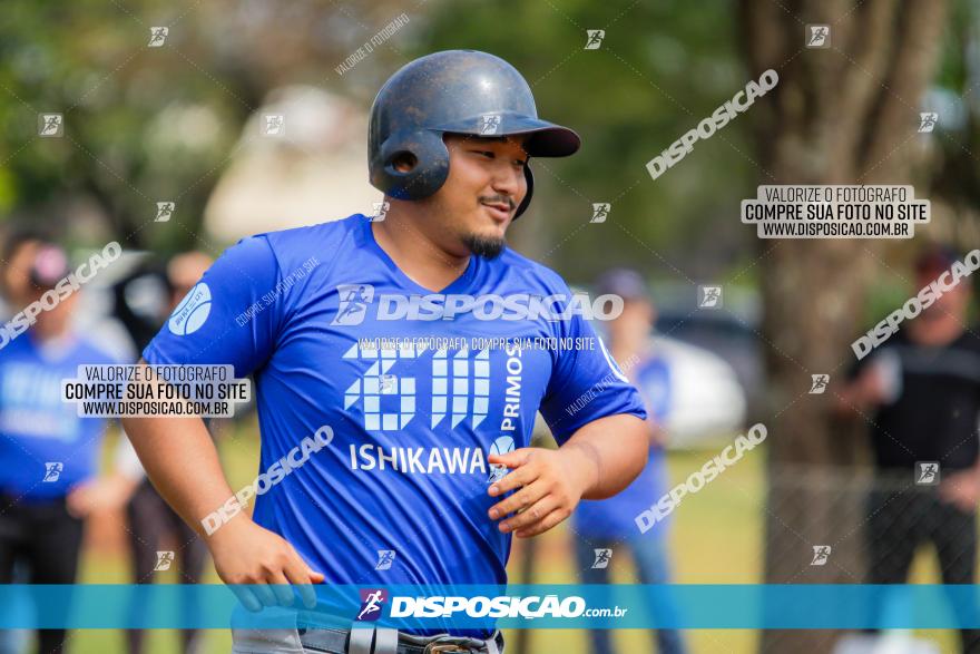 XXXII Brasileirão de Softbol