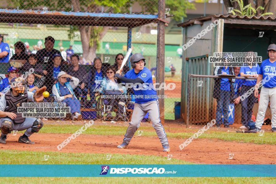 XXXII Brasileirão de Softbol