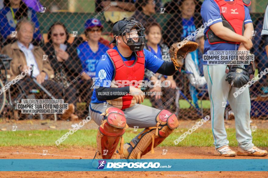 XXXII Brasileirão de Softbol