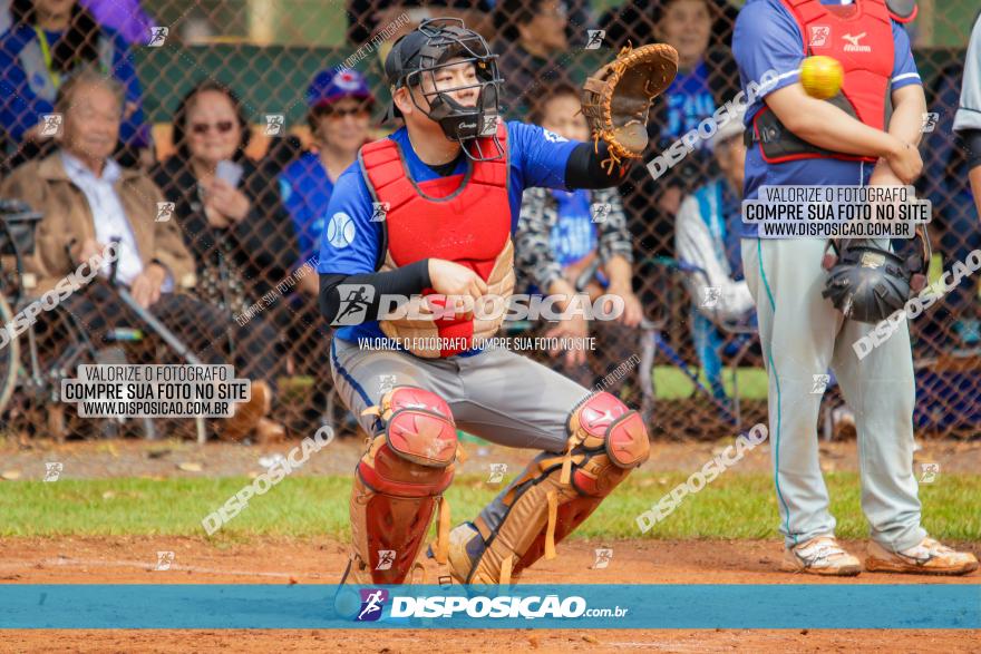 XXXII Brasileirão de Softbol