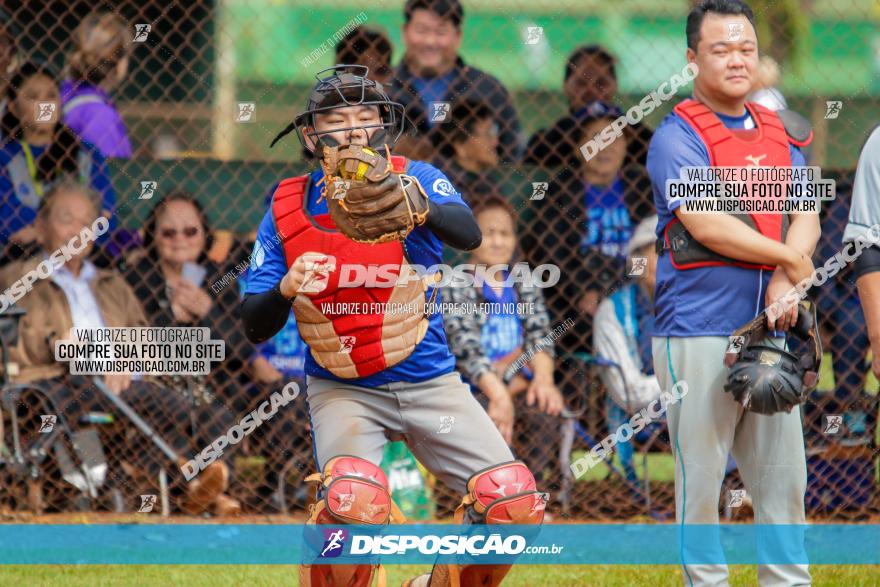 XXXII Brasileirão de Softbol