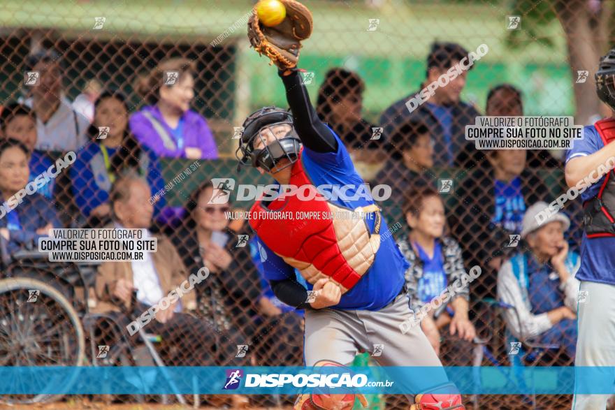 XXXII Brasileirão de Softbol