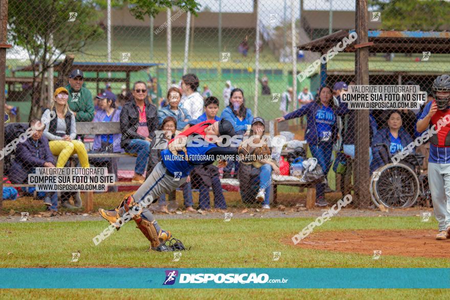 XXXII Brasileirão de Softbol