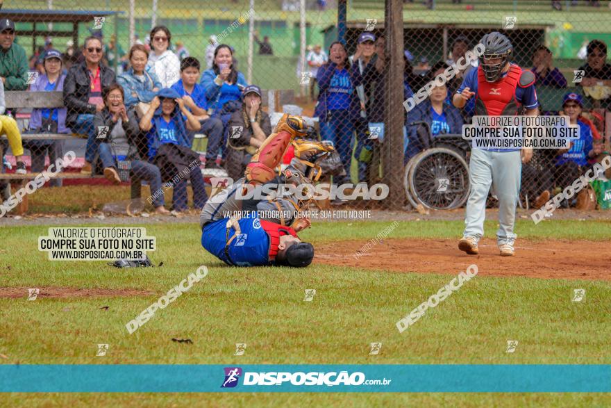 XXXII Brasileirão de Softbol