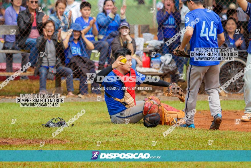 XXXII Brasileirão de Softbol