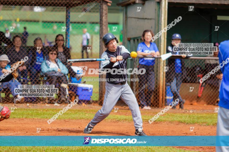 XXXII Brasileirão de Softbol