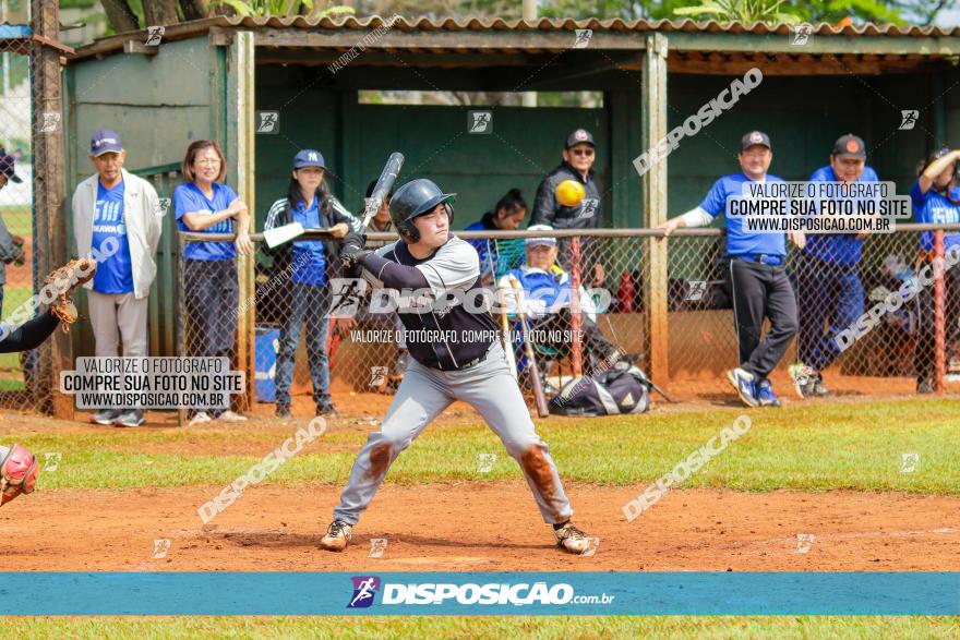 XXXII Brasileirão de Softbol