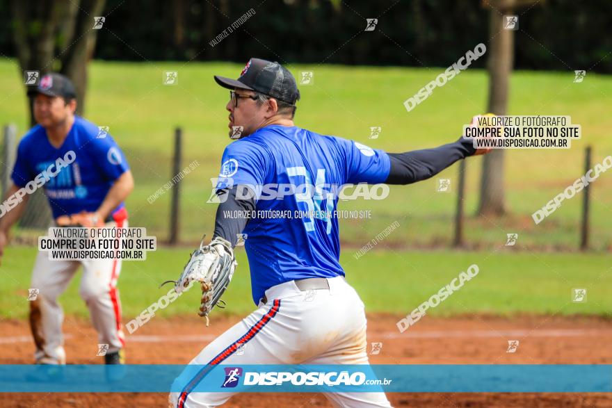 XXXII Brasileirão de Softbol