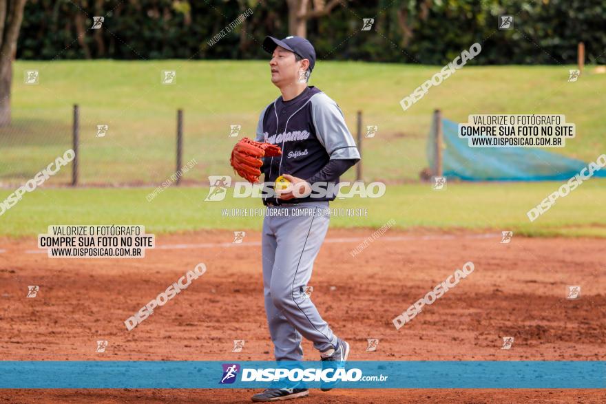 XXXII Brasileirão de Softbol