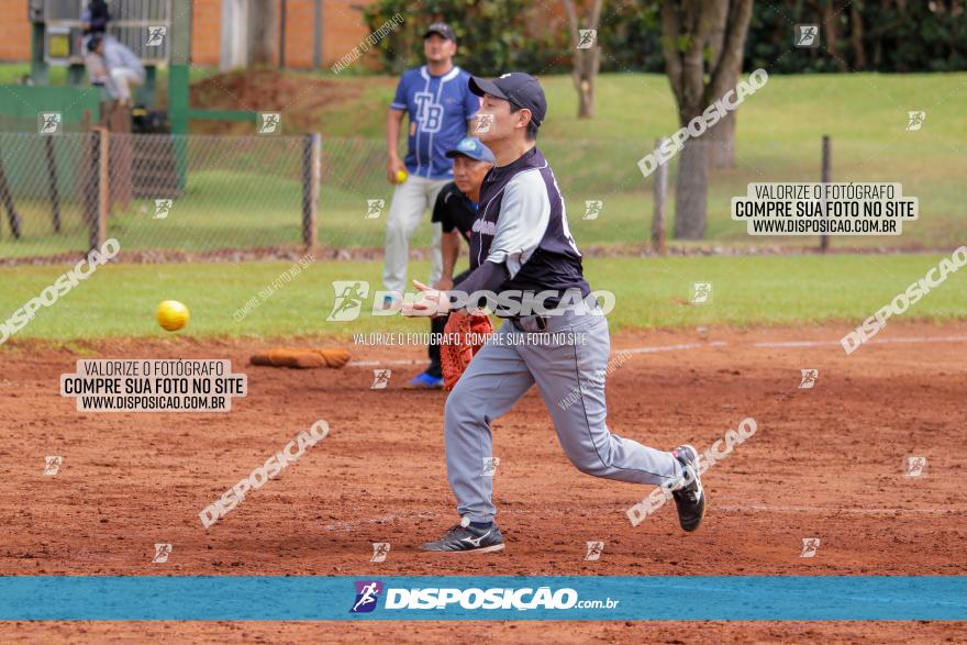 XXXII Brasileirão de Softbol