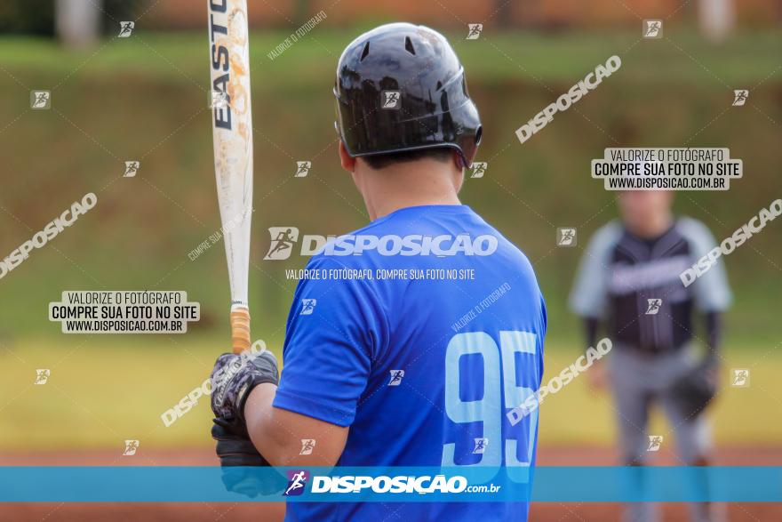 XXXII Brasileirão de Softbol