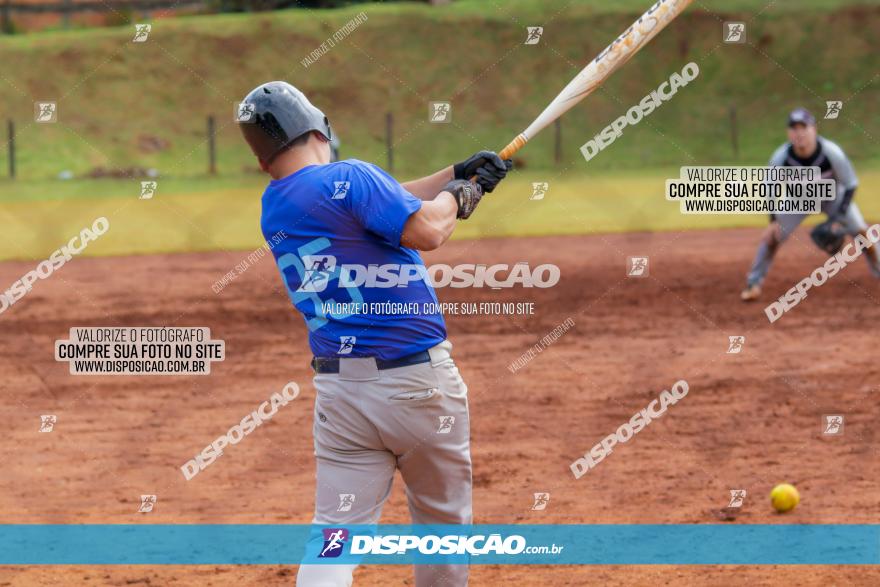 XXXII Brasileirão de Softbol