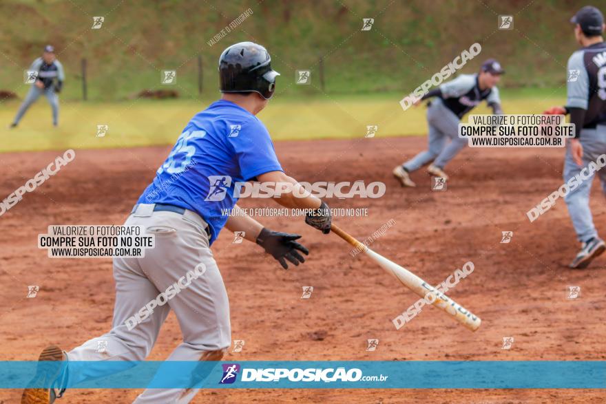 XXXII Brasileirão de Softbol