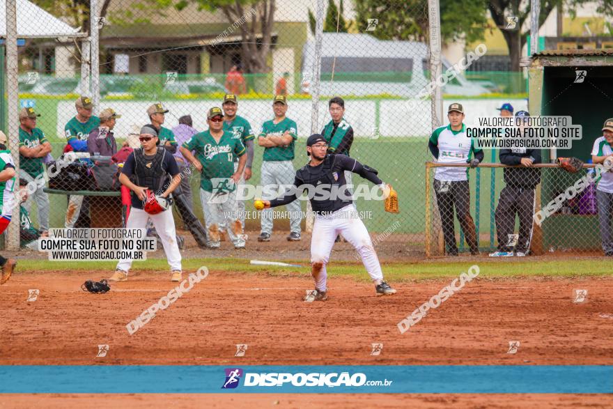 XXXII Brasileirão de Softbol