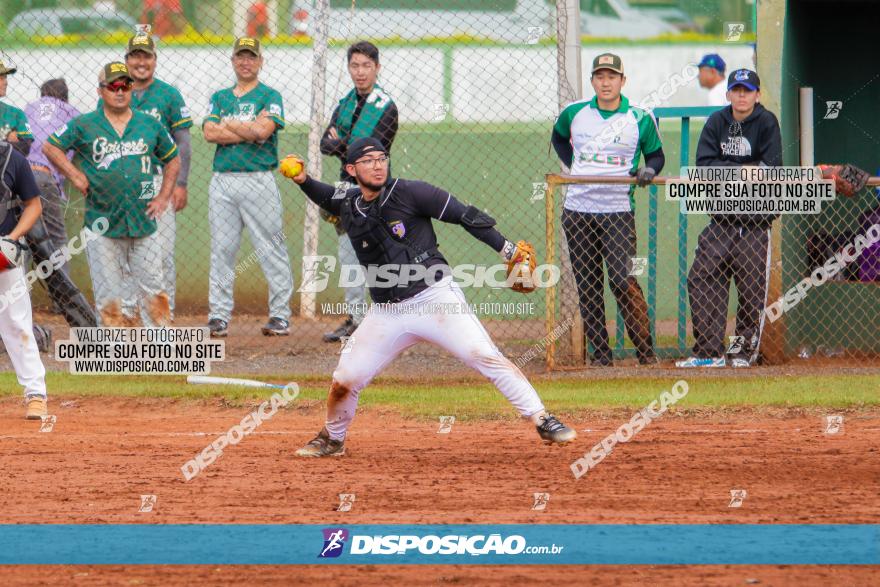 XXXII Brasileirão de Softbol