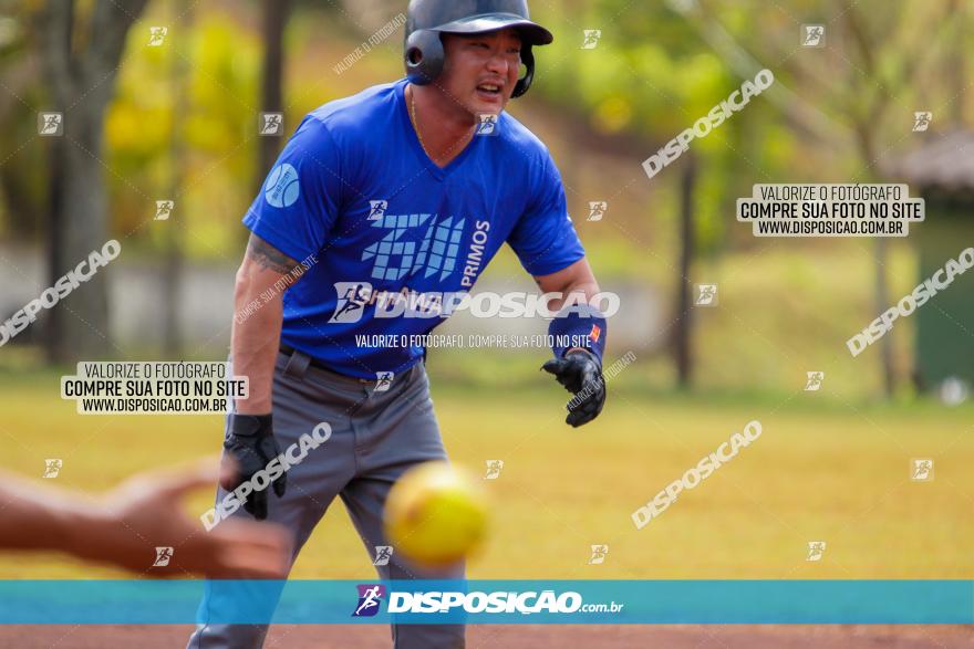 XXXII Brasileirão de Softbol