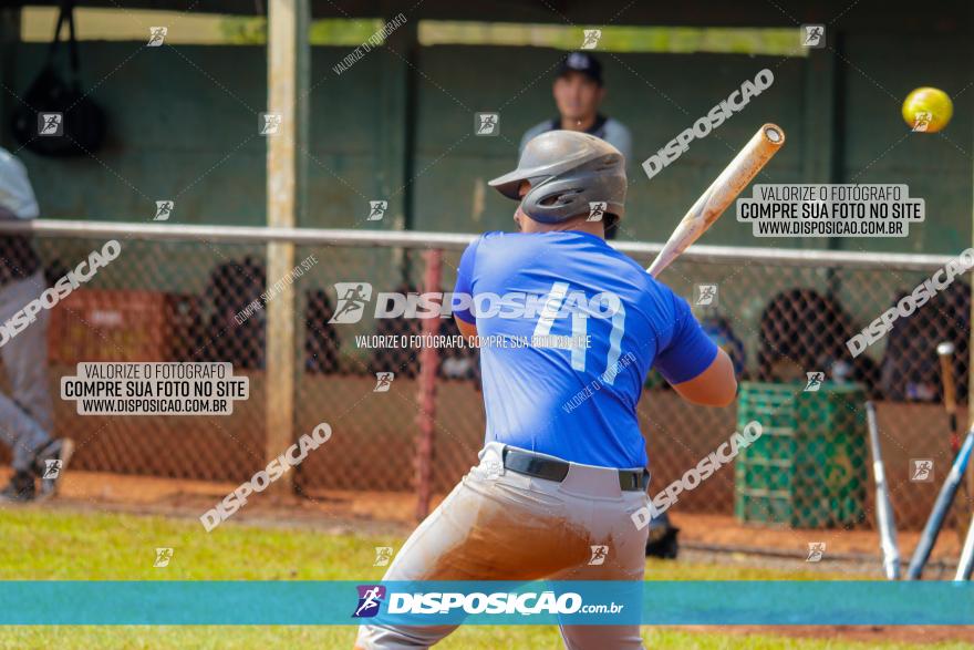 XXXII Brasileirão de Softbol