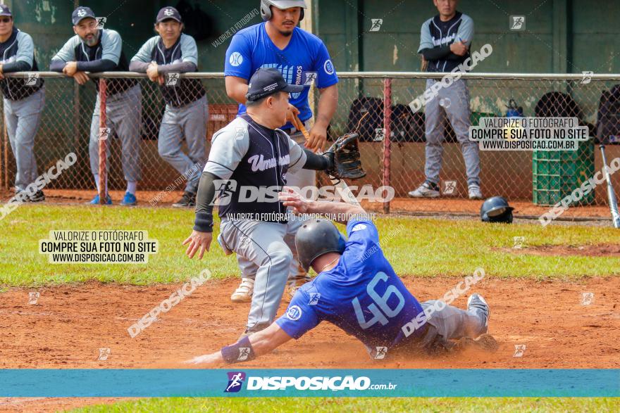 XXXII Brasileirão de Softbol