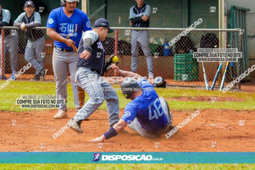 XXXII Brasileirão de Softbol