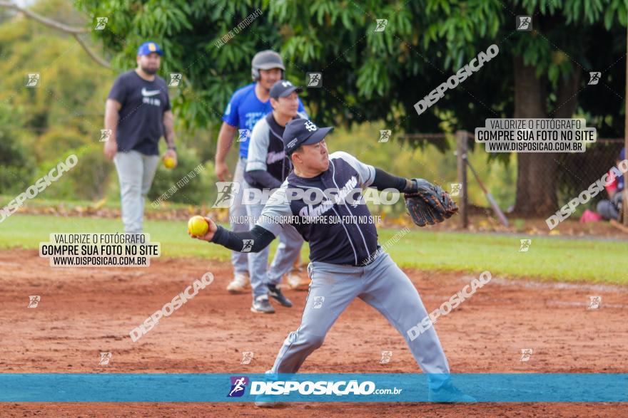 XXXII Brasileirão de Softbol