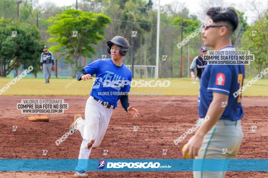 XXXII Brasileirão de Softbol