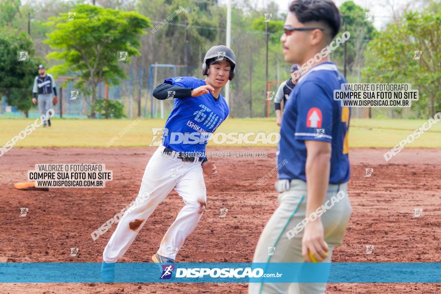 XXXII Brasileirão de Softbol