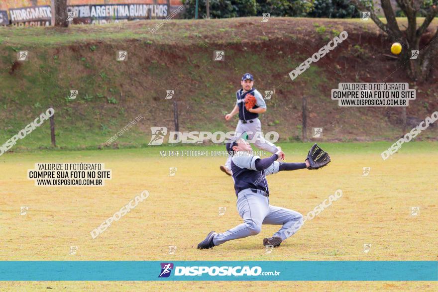 XXXII Brasileirão de Softbol