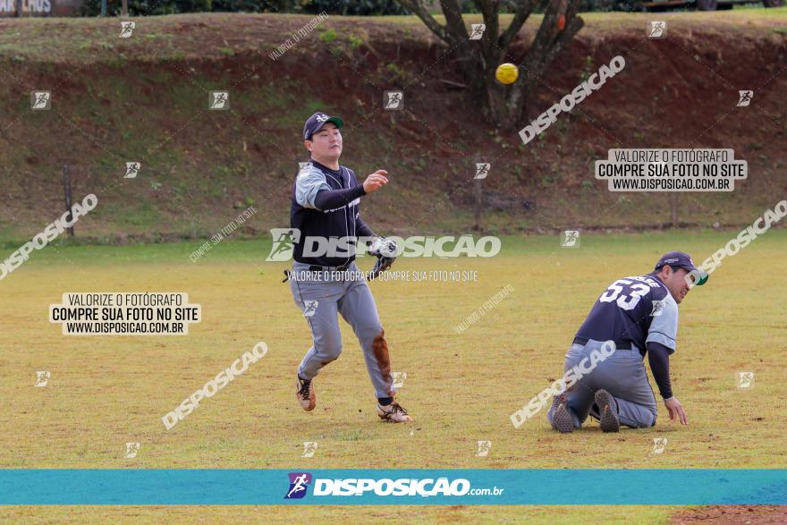 XXXII Brasileirão de Softbol