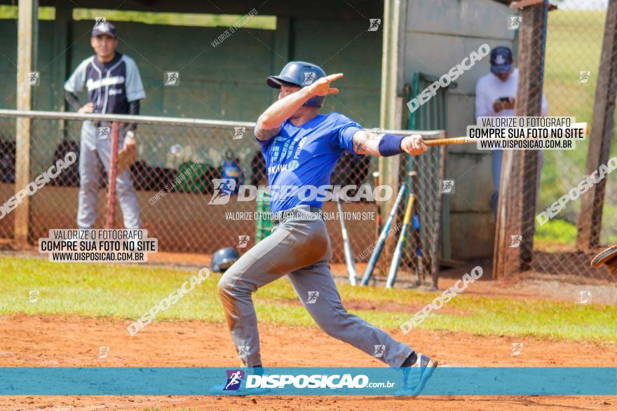 XXXII Brasileirão de Softbol