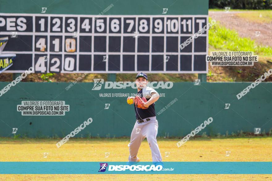 XXXII Brasileirão de Softbol