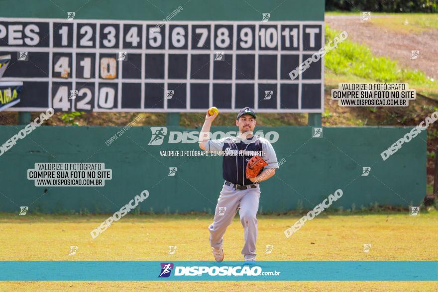 XXXII Brasileirão de Softbol