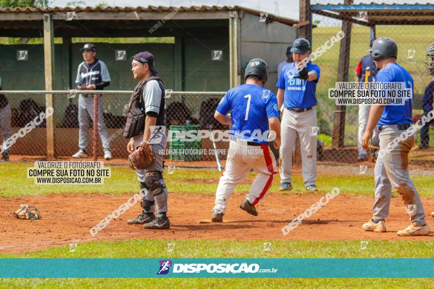 XXXII Brasileirão de Softbol