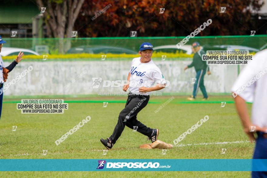 XXXII Brasileirão de Softbol