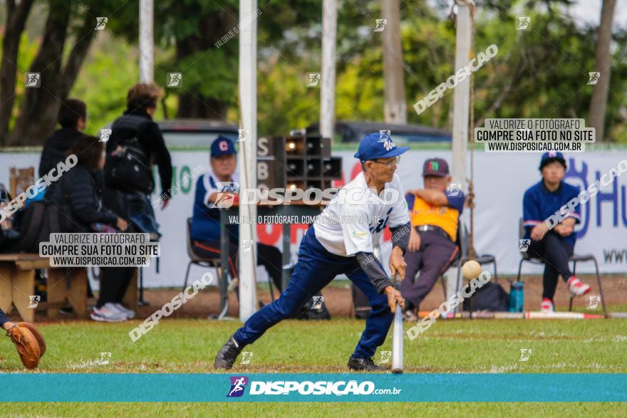 XXXII Brasileirão de Softbol