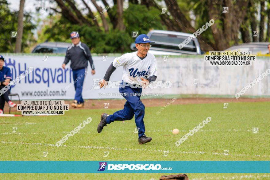 XXXII Brasileirão de Softbol