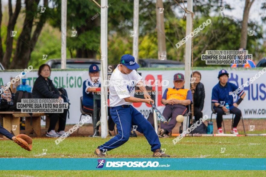 XXXII Brasileirão de Softbol