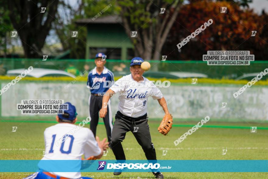 XXXII Brasileirão de Softbol