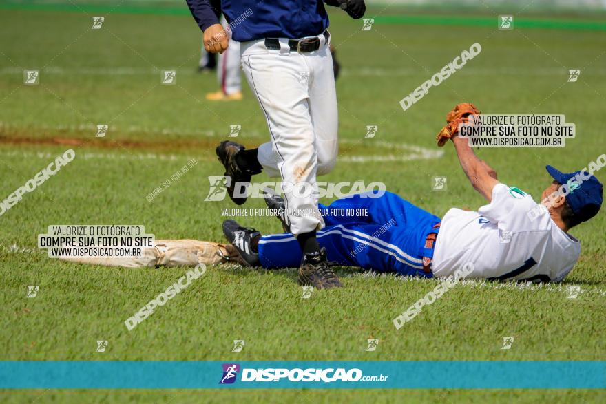 XXXII Brasileirão de Softbol