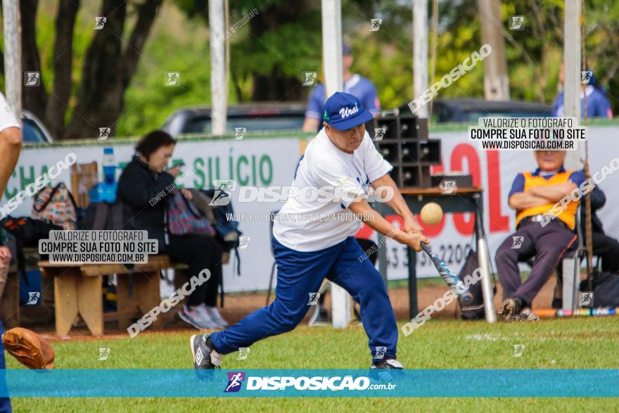 XXXII Brasileirão de Softbol