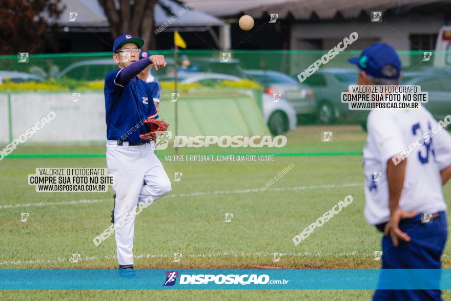 XXXII Brasileirão de Softbol