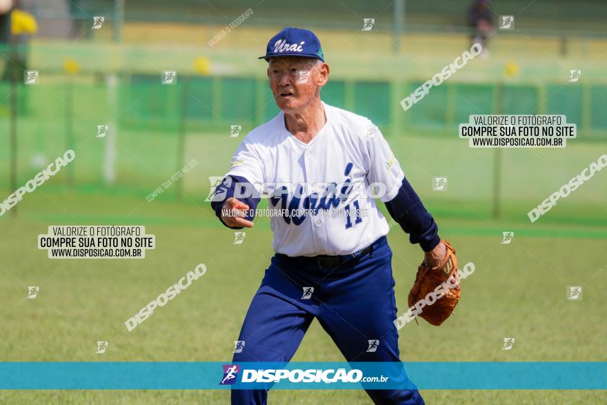 XXXII Brasileirão de Softbol