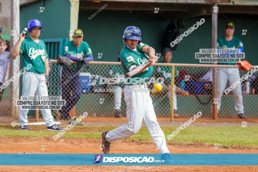 XXXII Brasileirão de Softbol