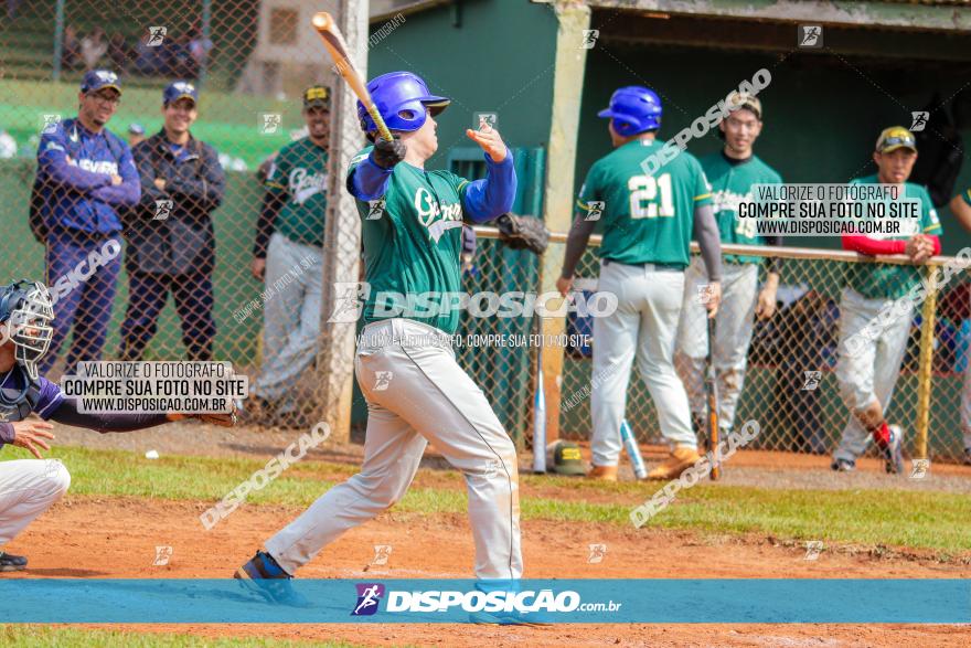 XXXII Brasileirão de Softbol