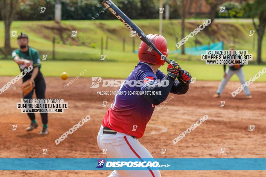 XXXII Brasileirão de Softbol