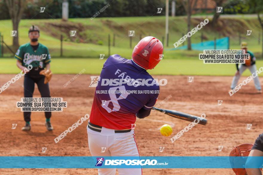 XXXII Brasileirão de Softbol